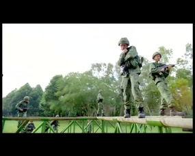 新兵正传,青春热血的蜕变之旅