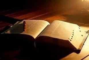 穿书还做恋爱脑，不如赚大钱,恋爱脑不如财富自由，开启财富增长之旅