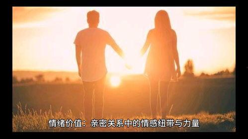 情感价值,探寻情感价值的璀璨光芒