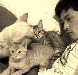 娱乐吃瓜猫张一张,揭秘娱乐圈幕后故事